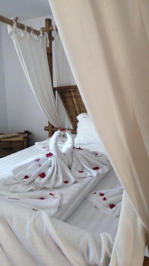 Pensiunea Rosenau Risnov Bagian luar foto